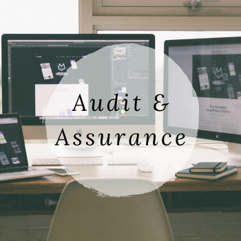 HP1 Audit & Assurance